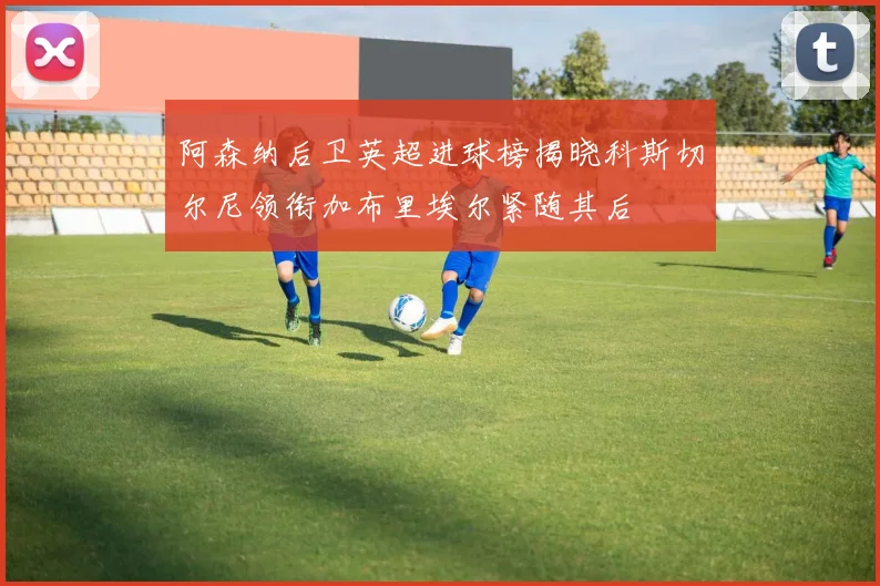 阿森纳后卫英超进球榜揭晓科斯切尔尼领衔加布里埃尔紧随其后