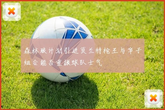 森林狼计划引进莫兰特枪王与华子组合能否重振球队士气