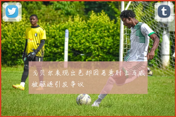 戈贝尔表现出色却因恶意肘击马威被驱逐引发争议